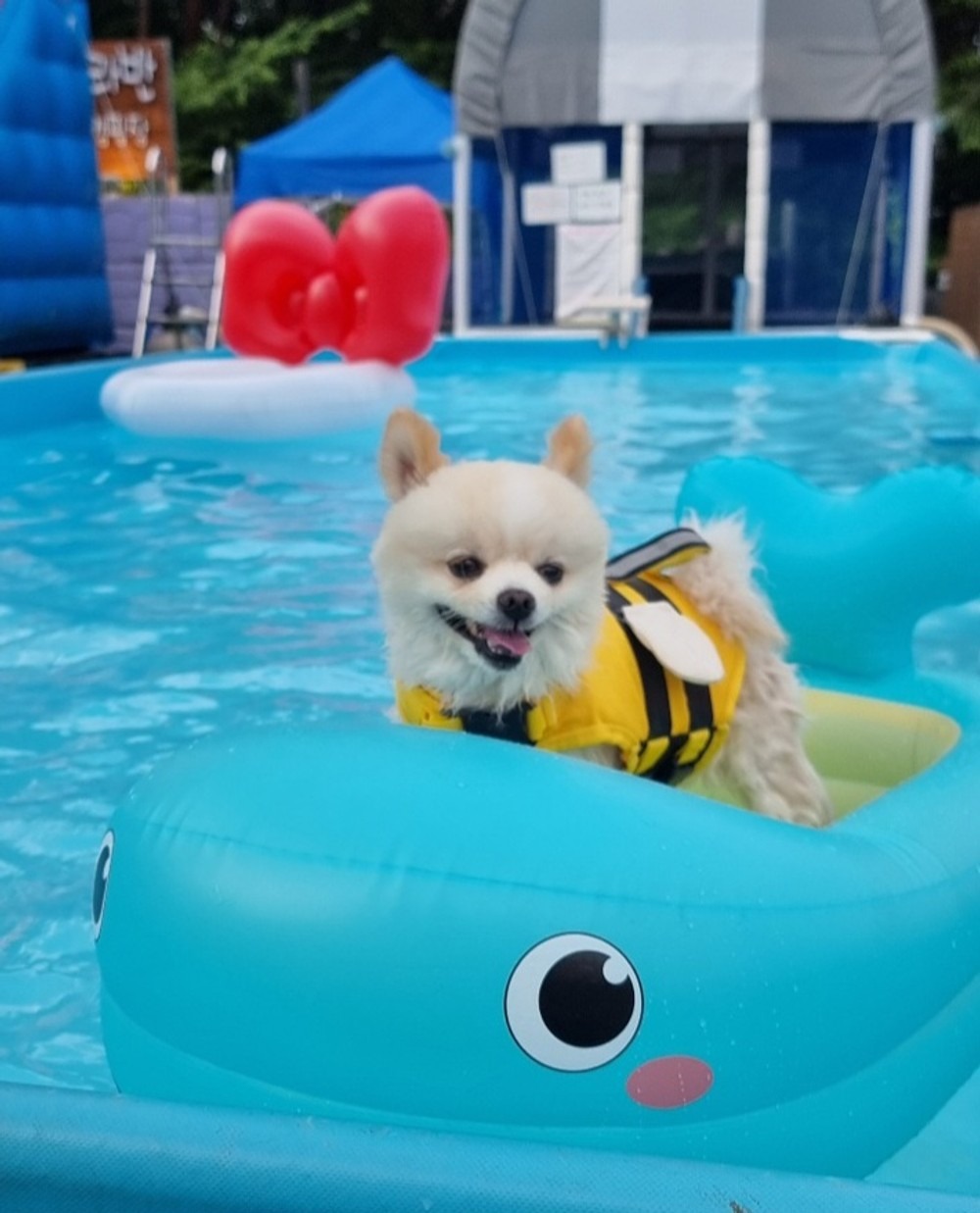모모카라반