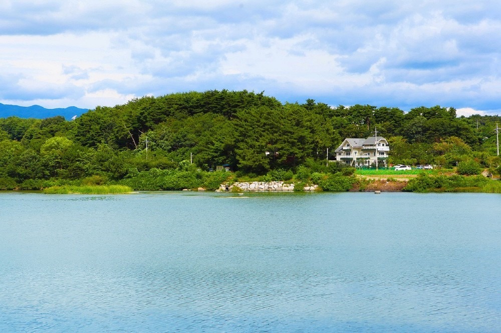 강릉 메종드로즈