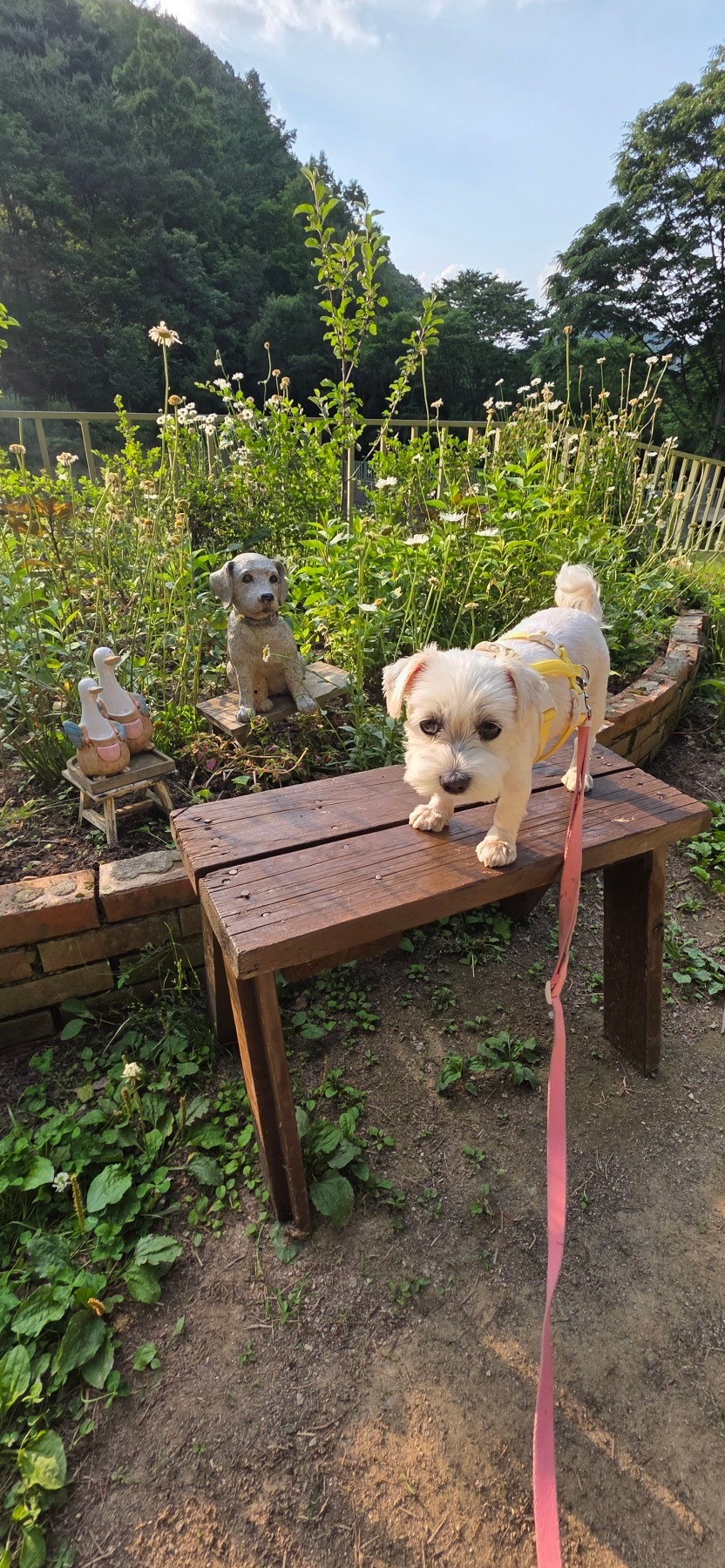 온빛자연휴양림
