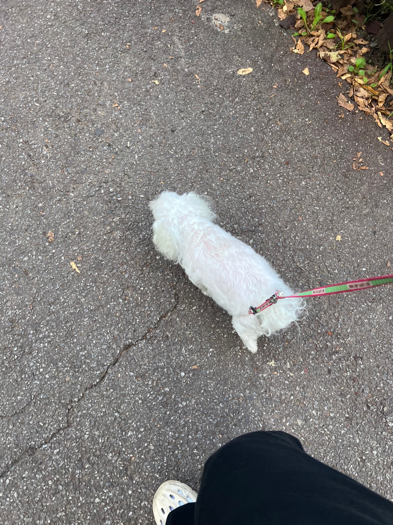율동공원
