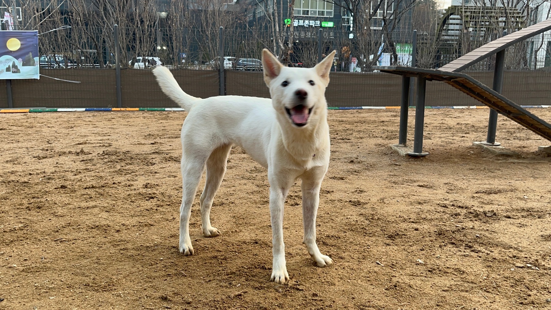 동작반려견공원