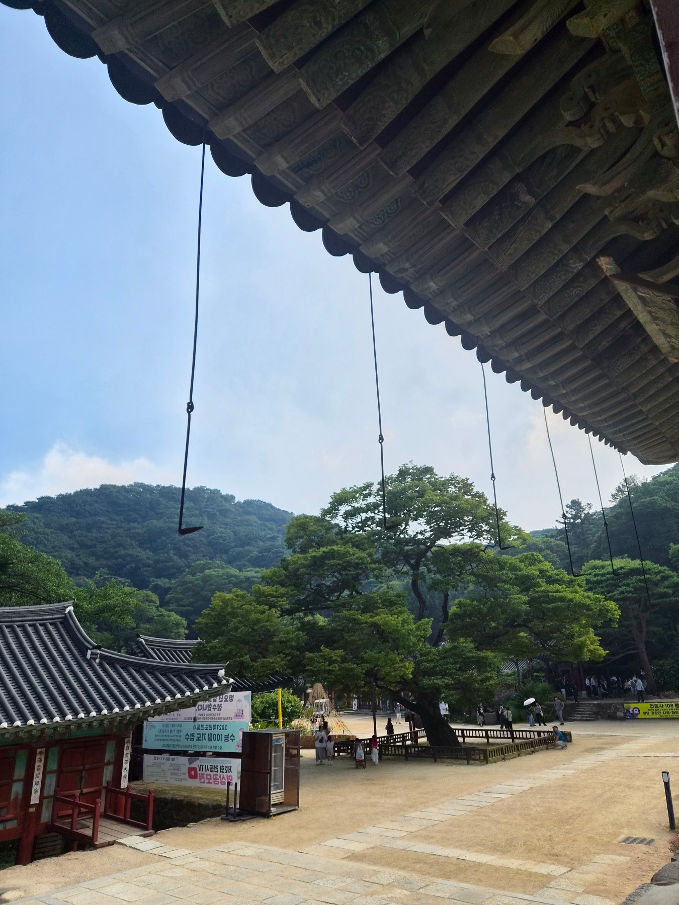 전등사