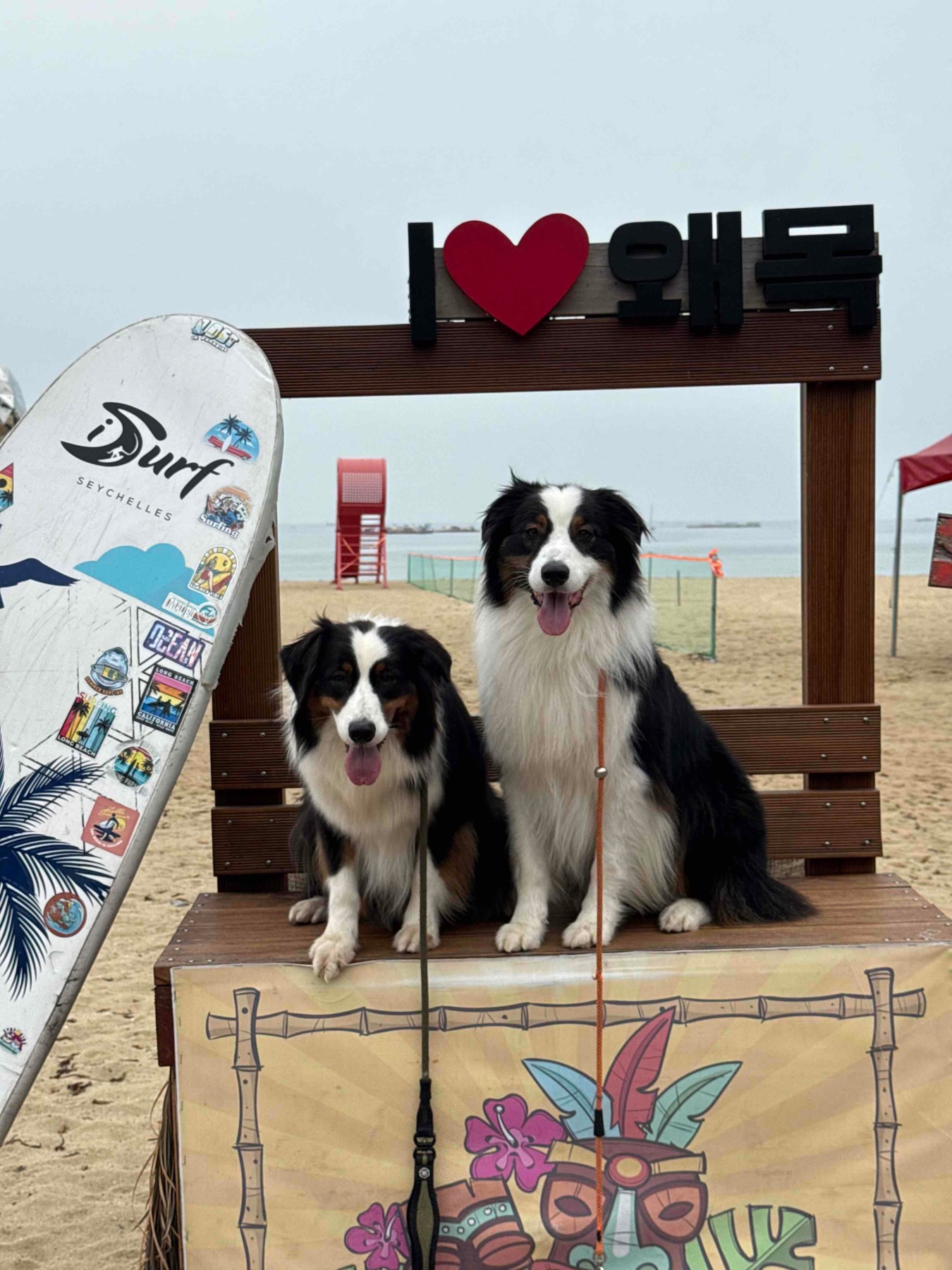 왜목마을 해수욕장