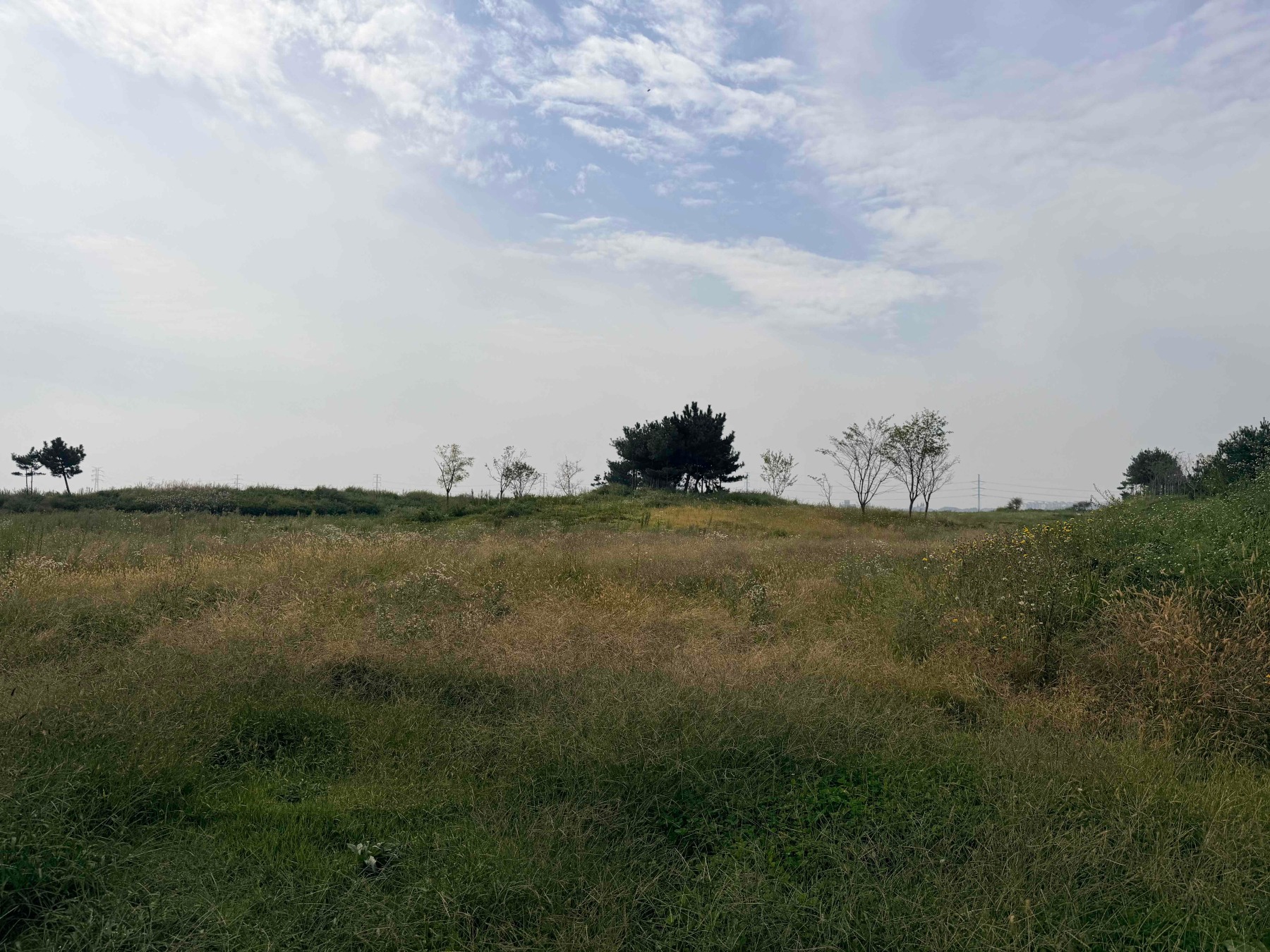 모다아울렛 행담도점