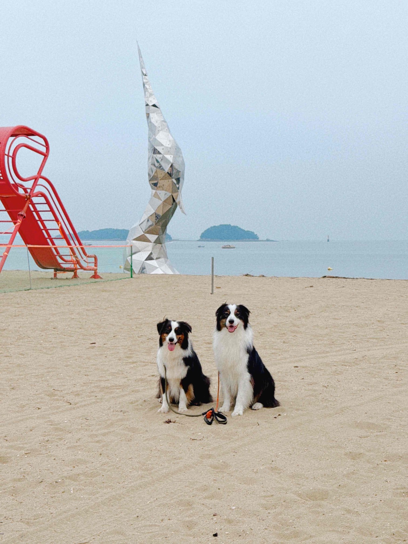 왜목마을 해수욕장