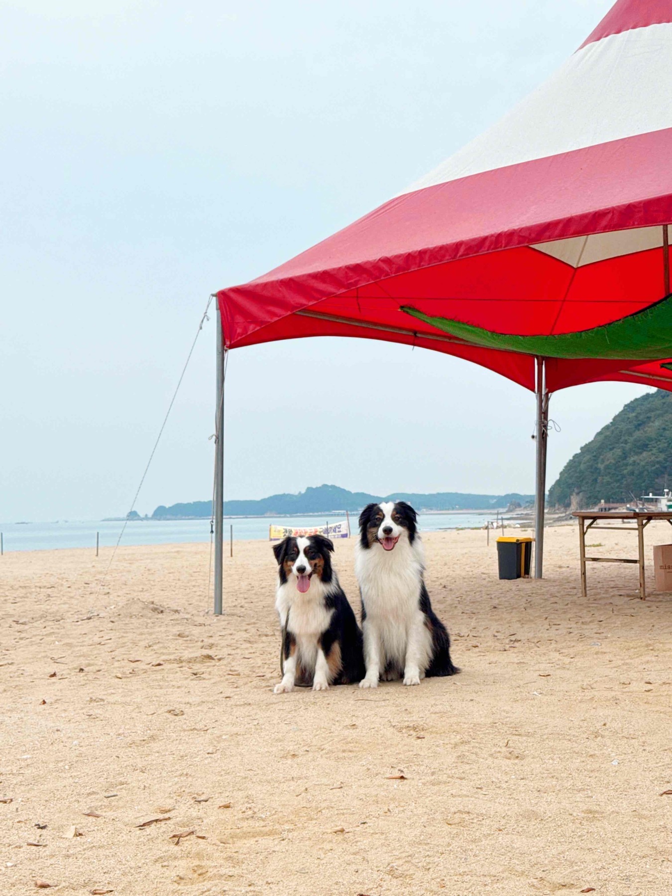 왜목마을 해수욕장