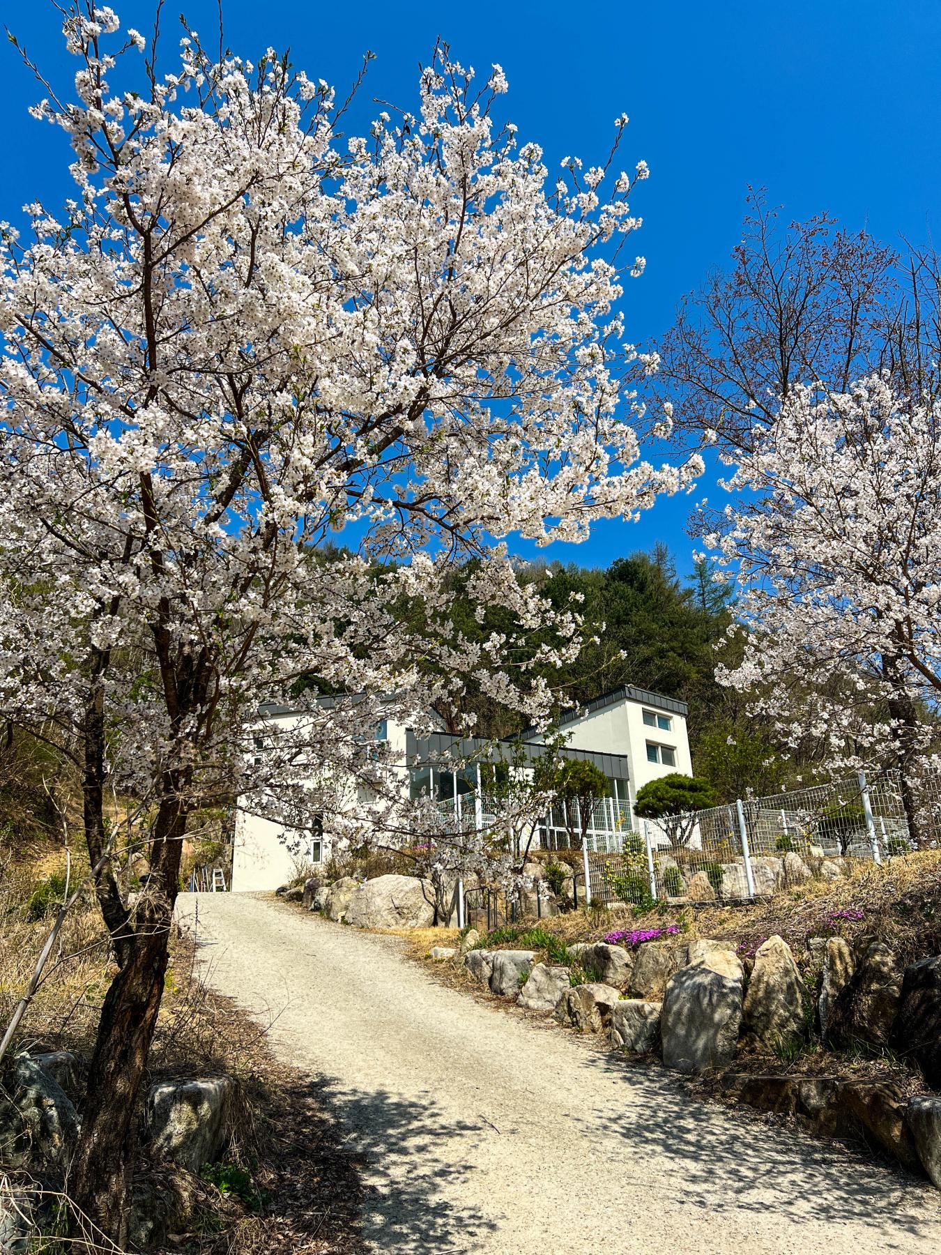 숙소 사진
