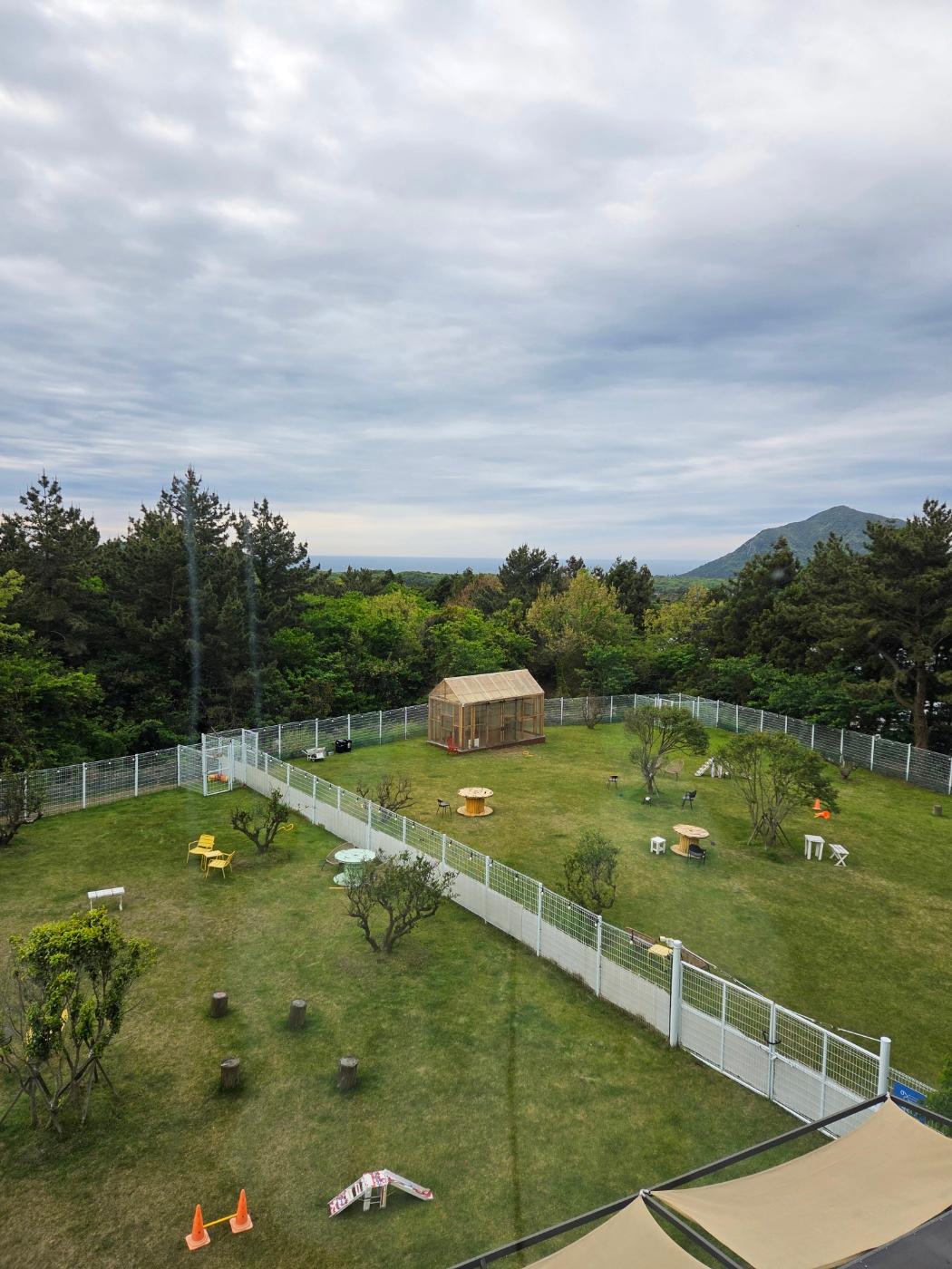 개덩이네 하우스