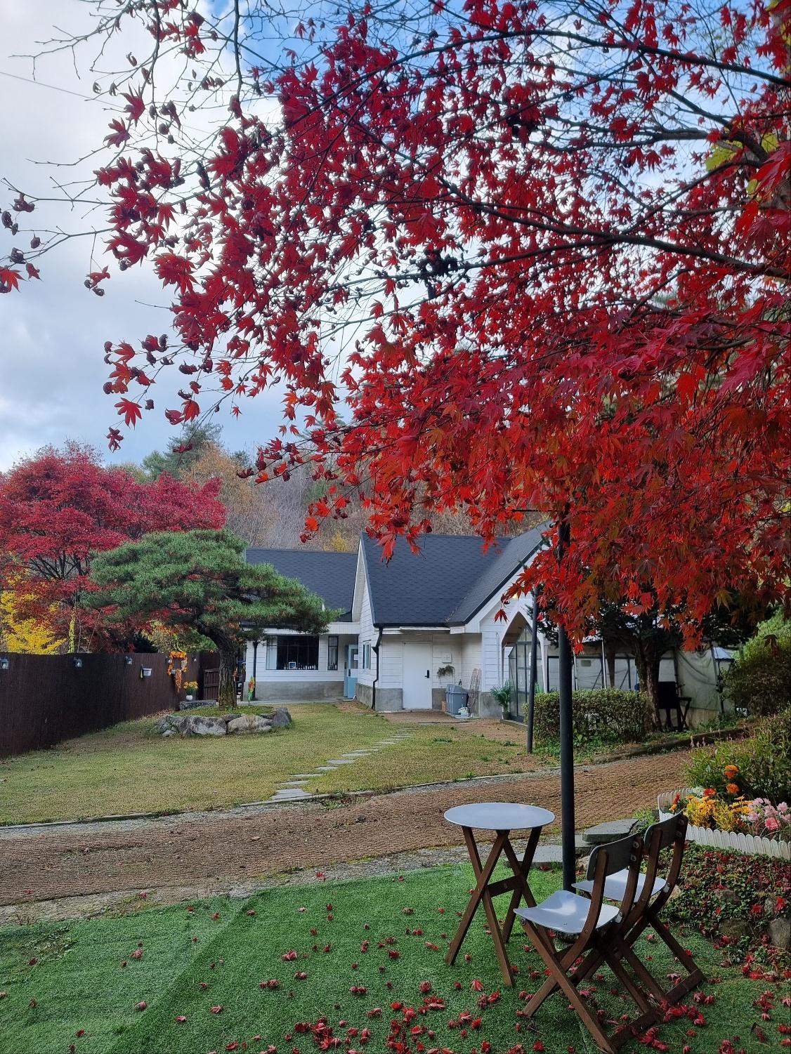 숙소 사진