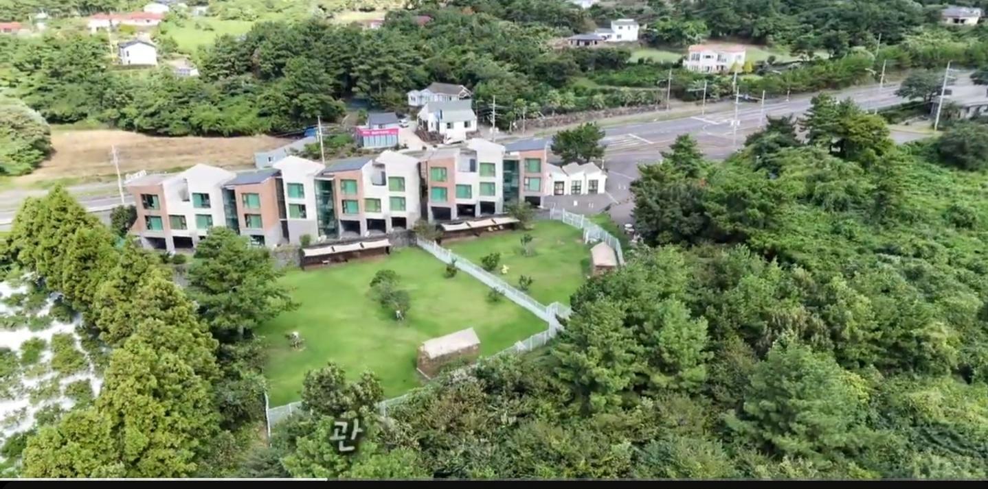 개덩이네 하우스