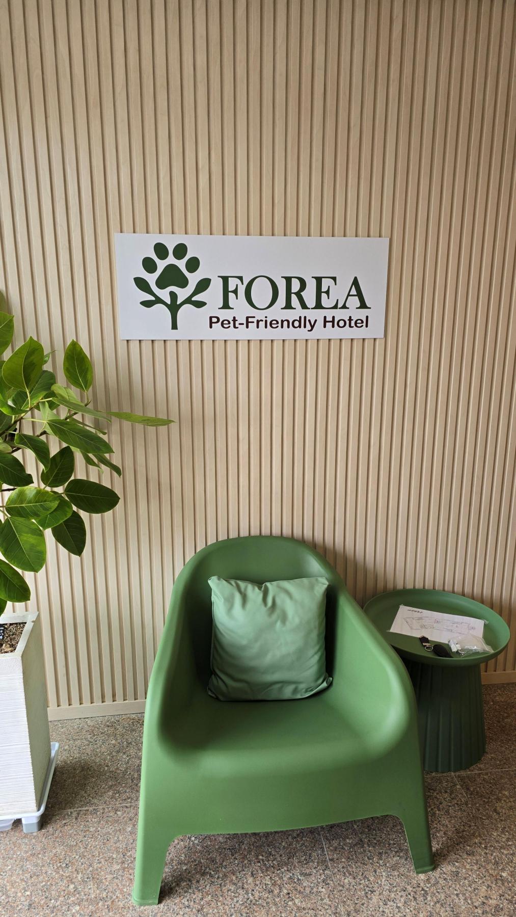 숙소 사진