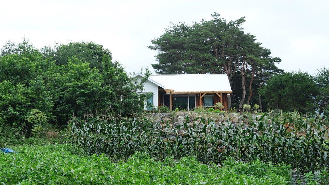 숙소 사진
