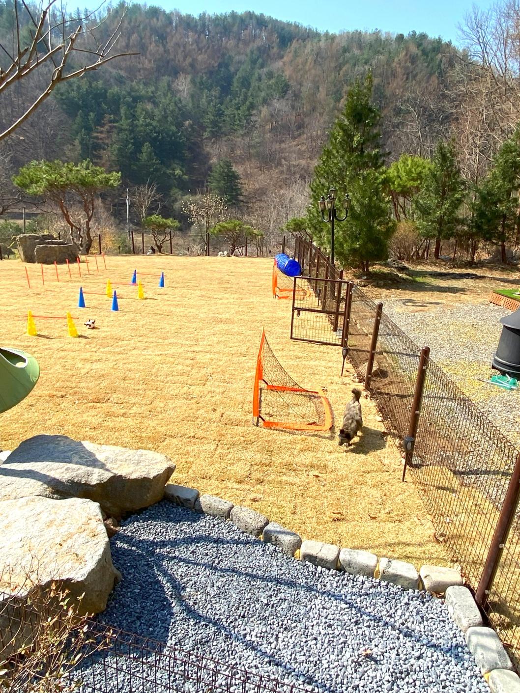 숙소 사진