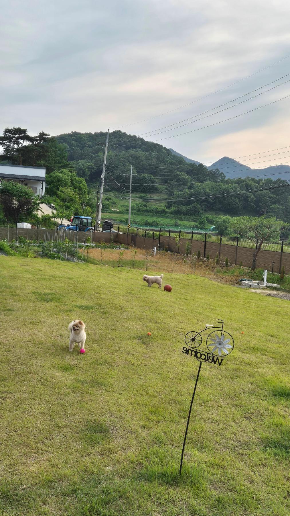 숙소 사진