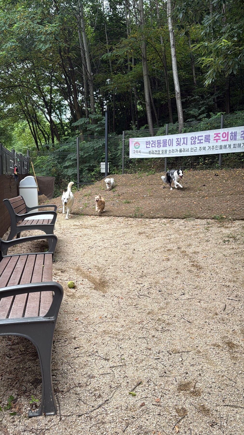 갈매협동공원반려견놀이터