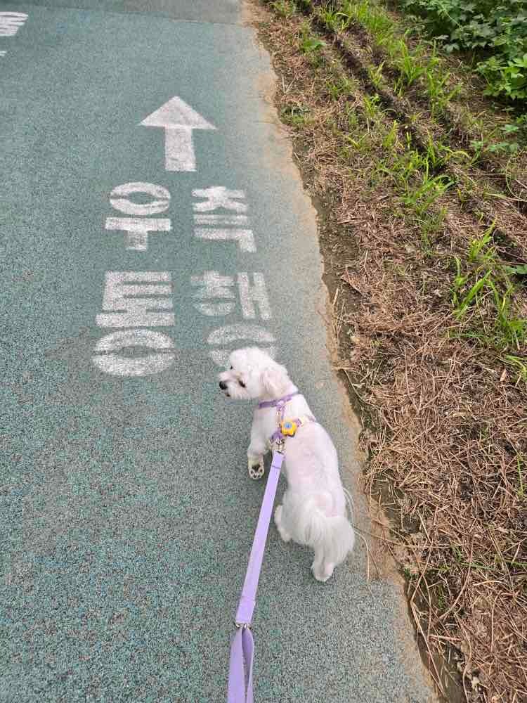 불광천