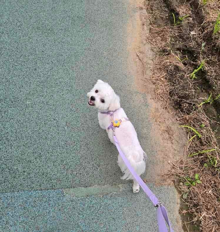 불광천