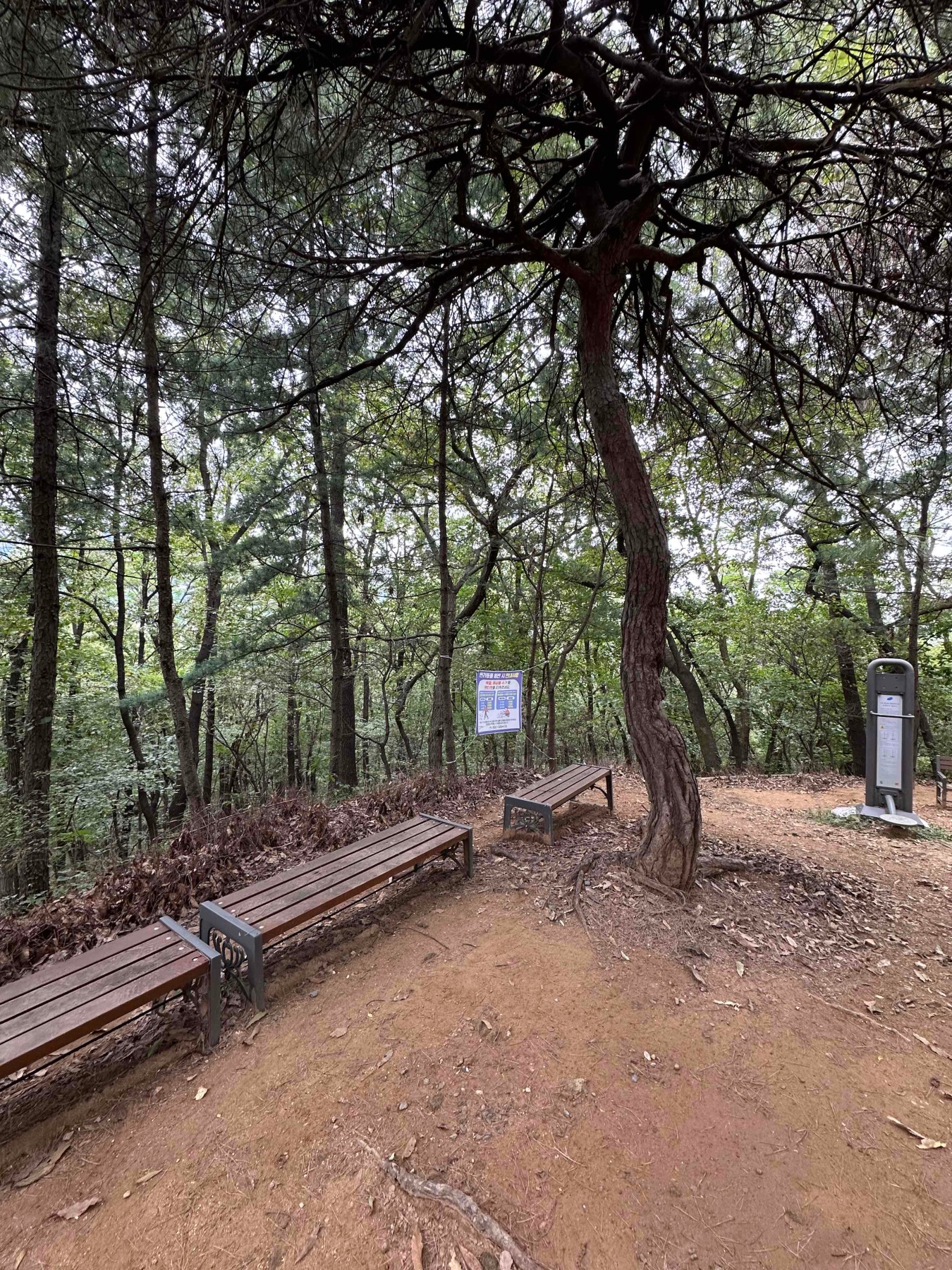 향림근린공원