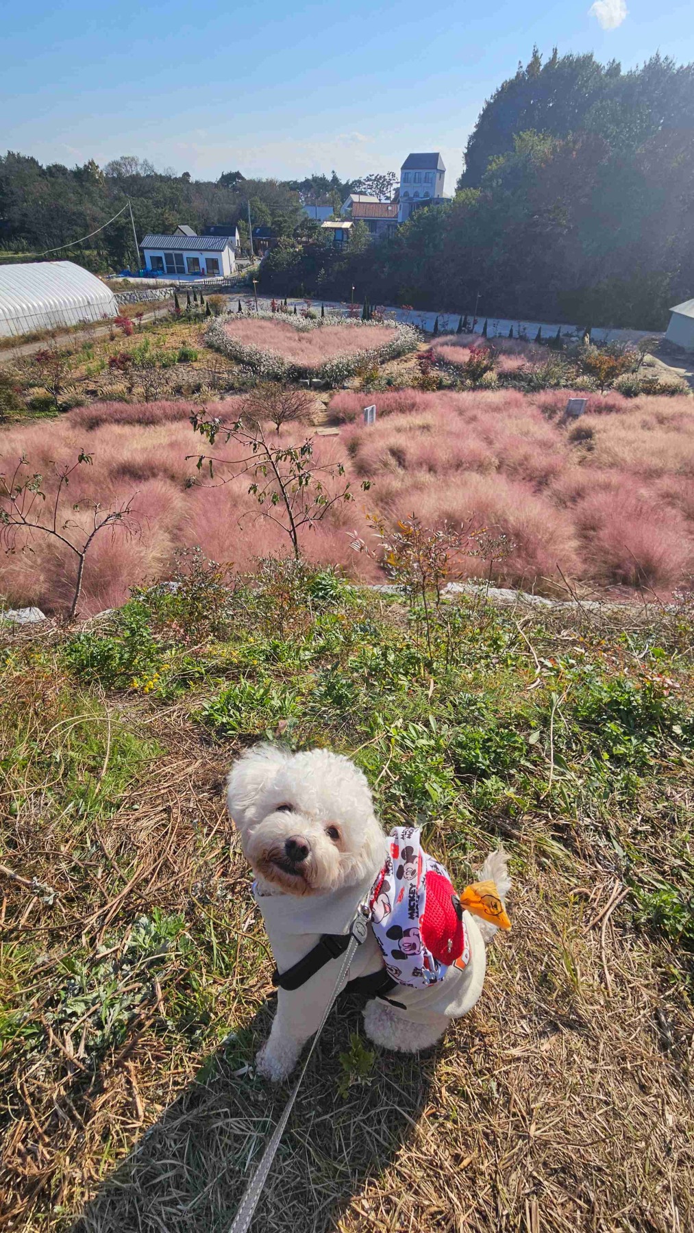 호린파크