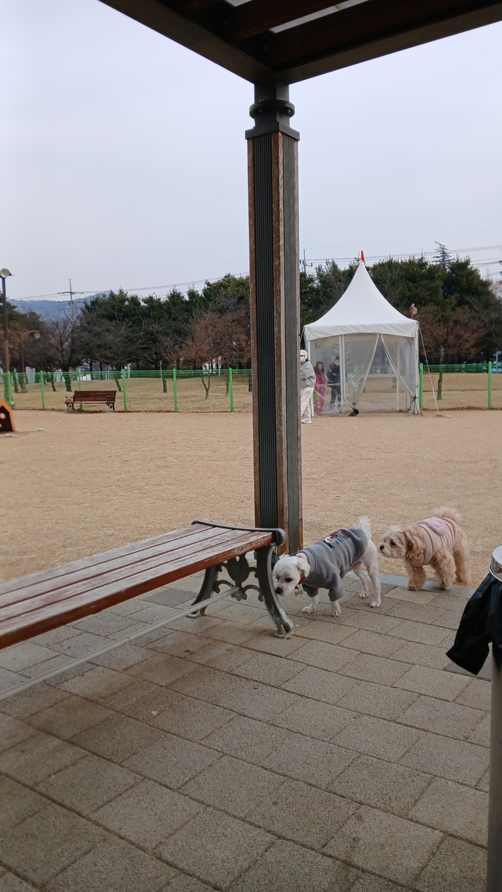 동락공원반려견놀이터
