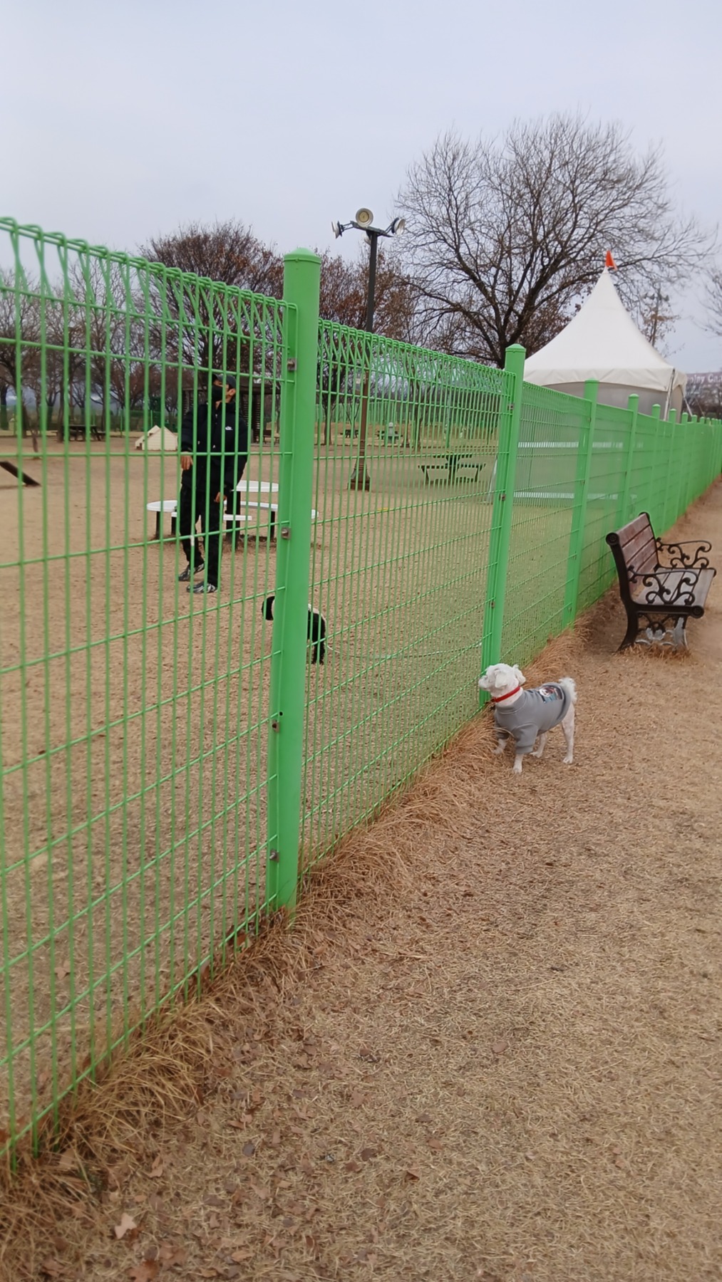 동락공원반려견놀이터