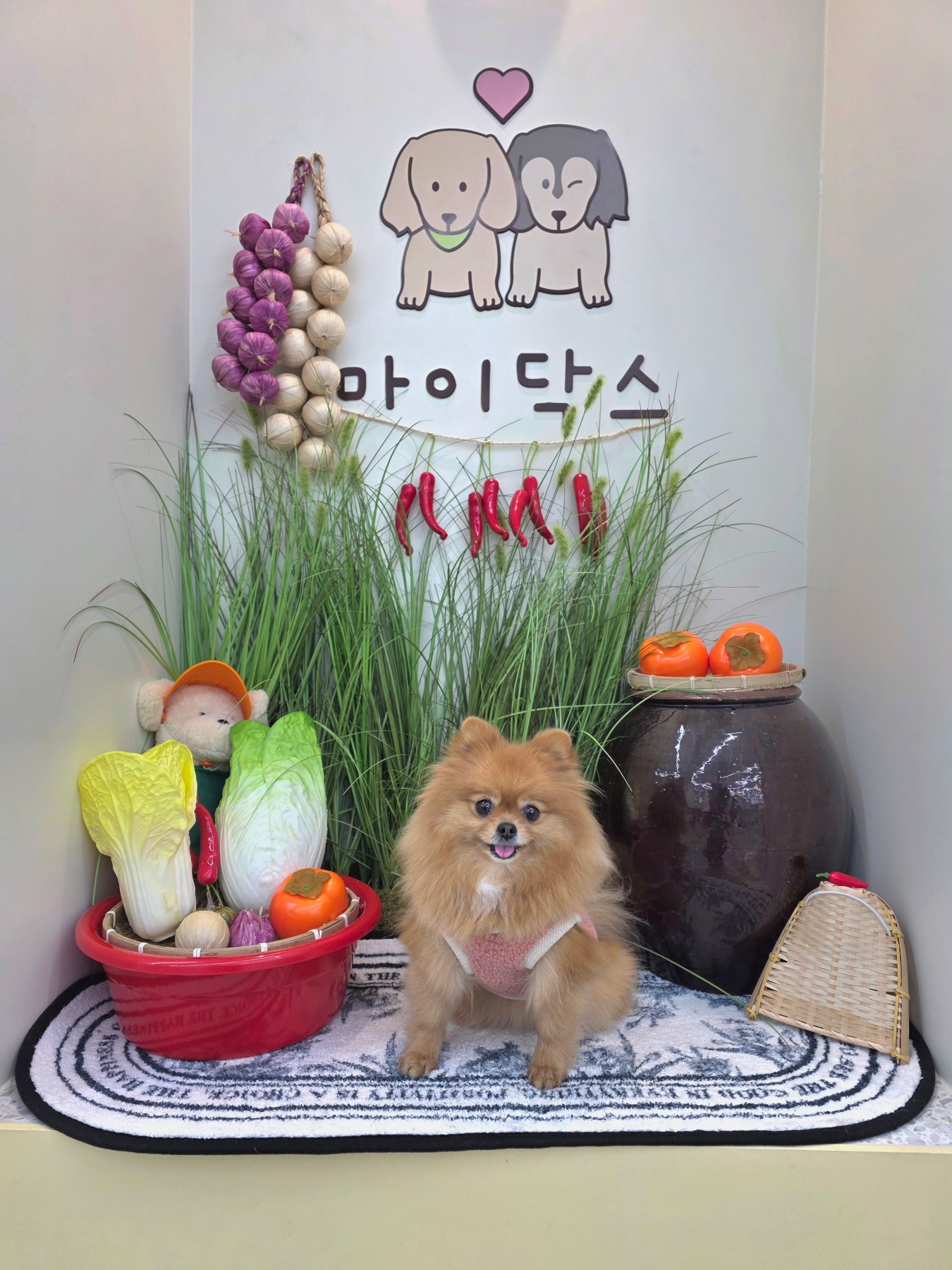 마이닥스