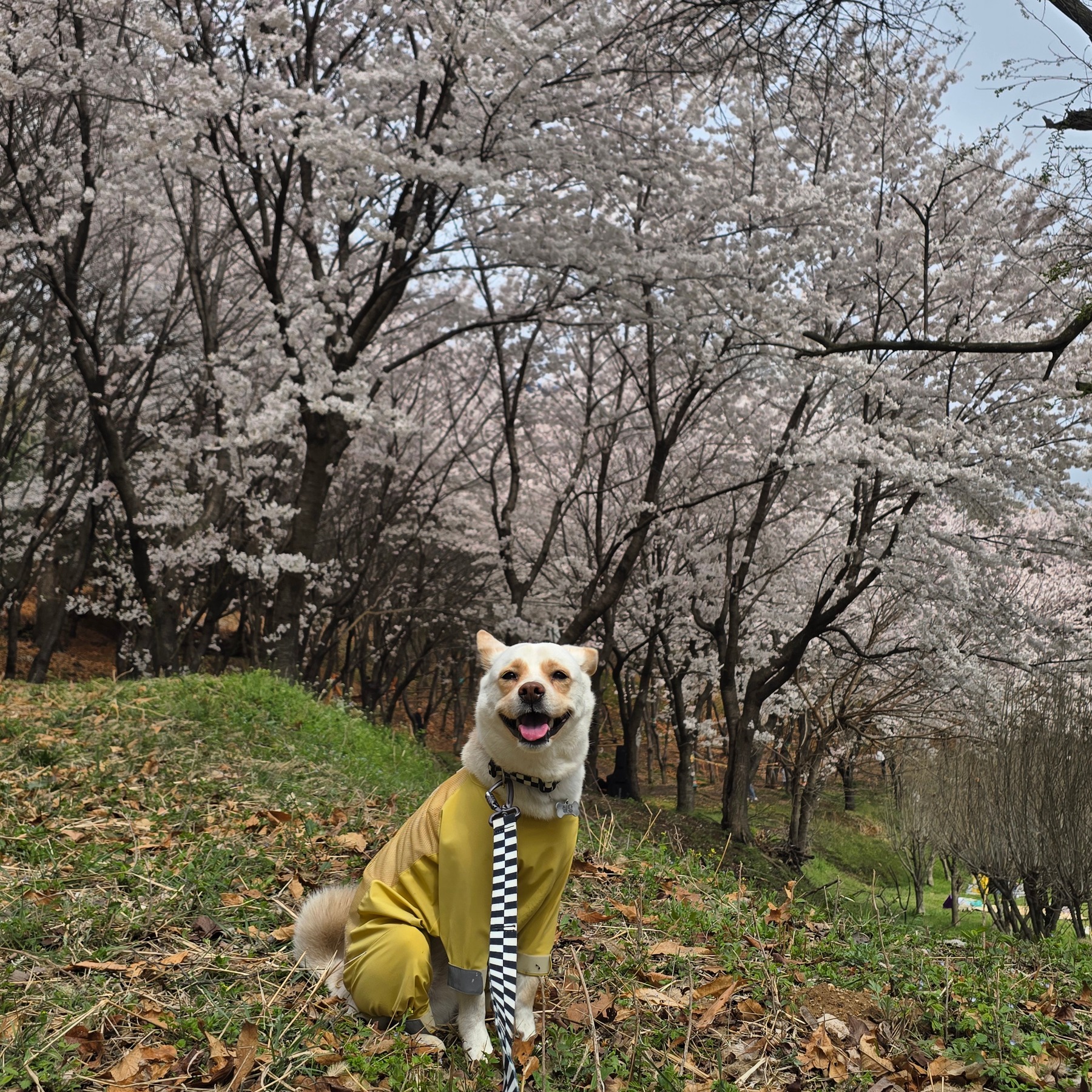 지산체육공원