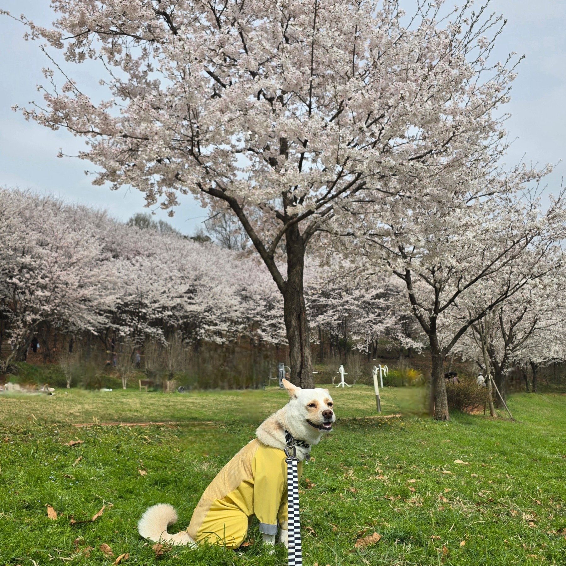 지산체육공원