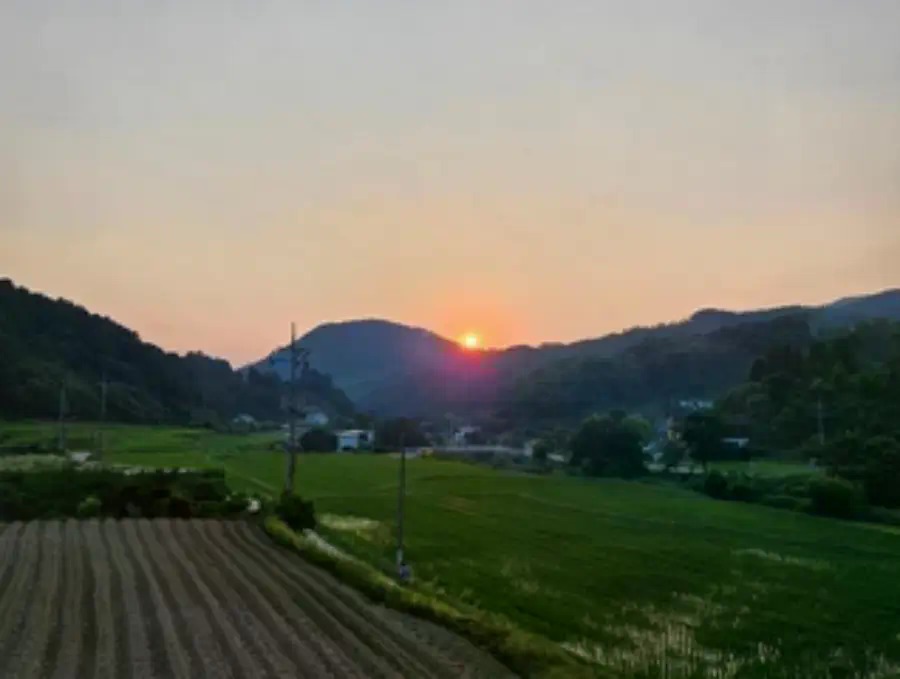 양평 힐링 계곡캠핑장