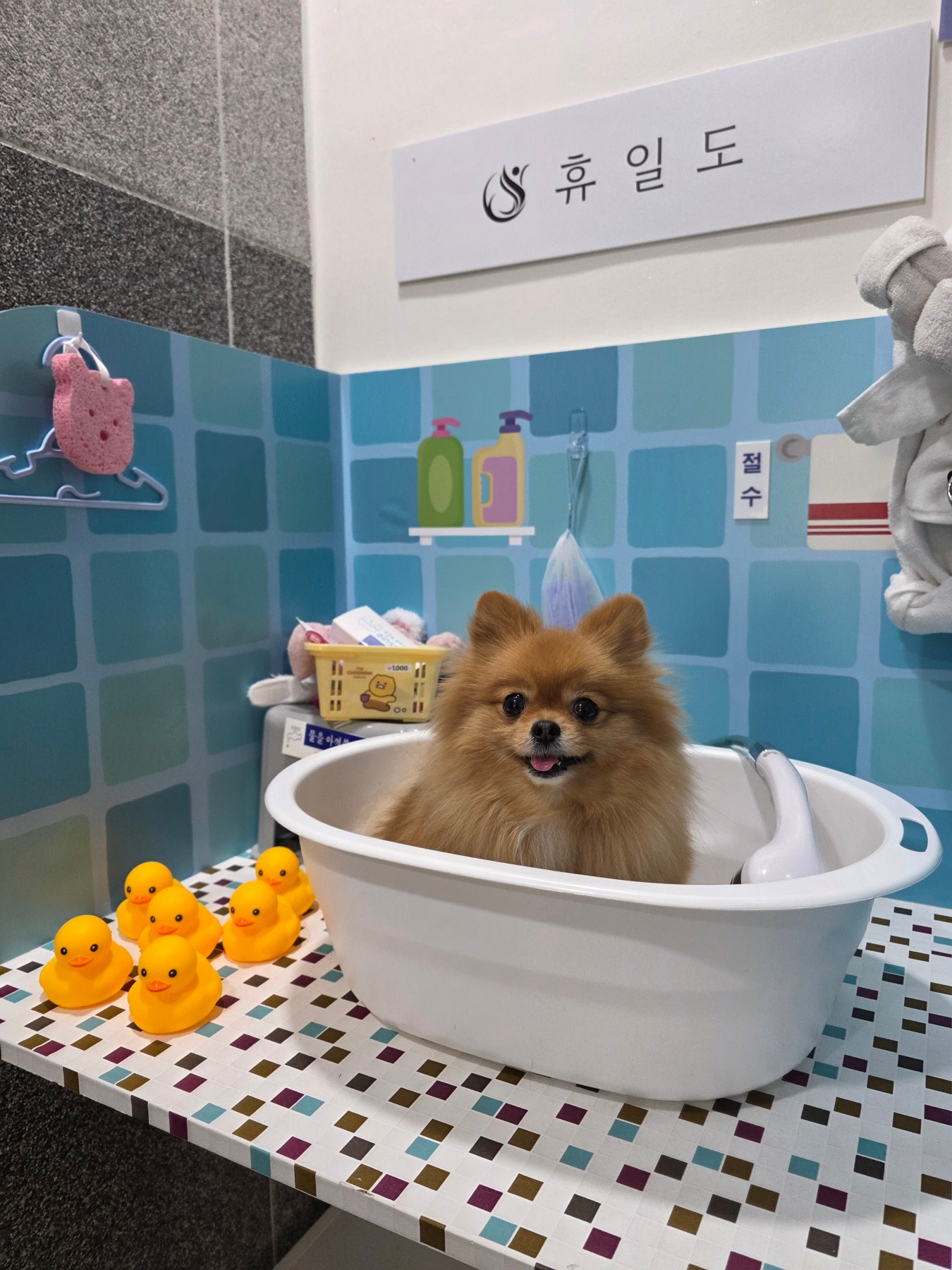 휴일도 이천점