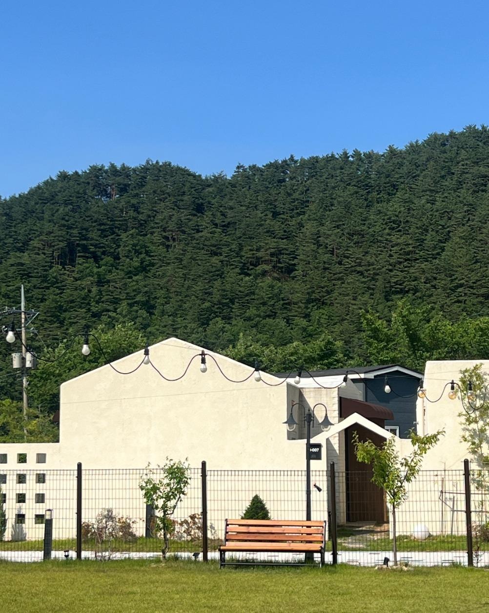 도도독