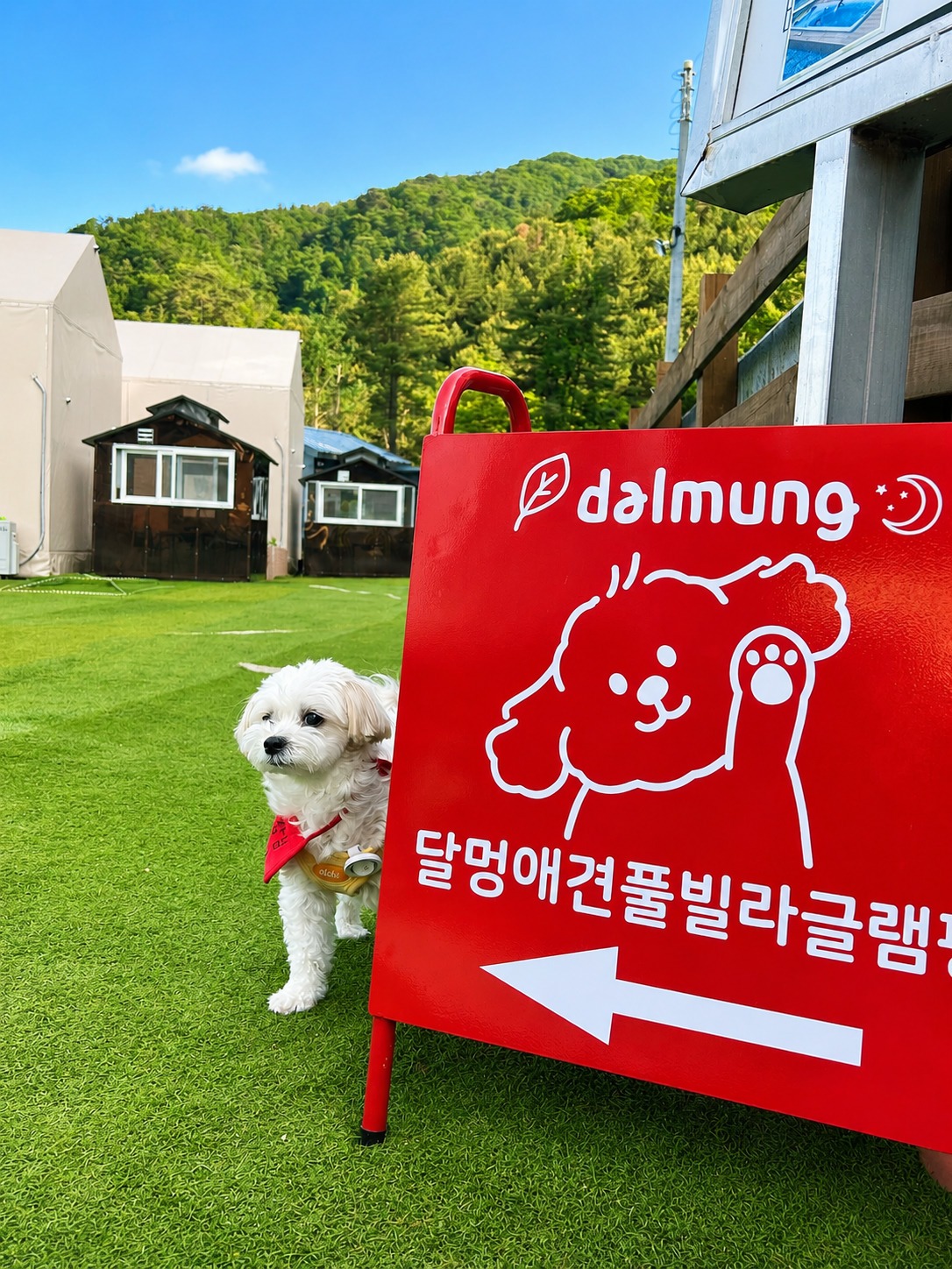 달멍 애견 풀빌라 글램핑