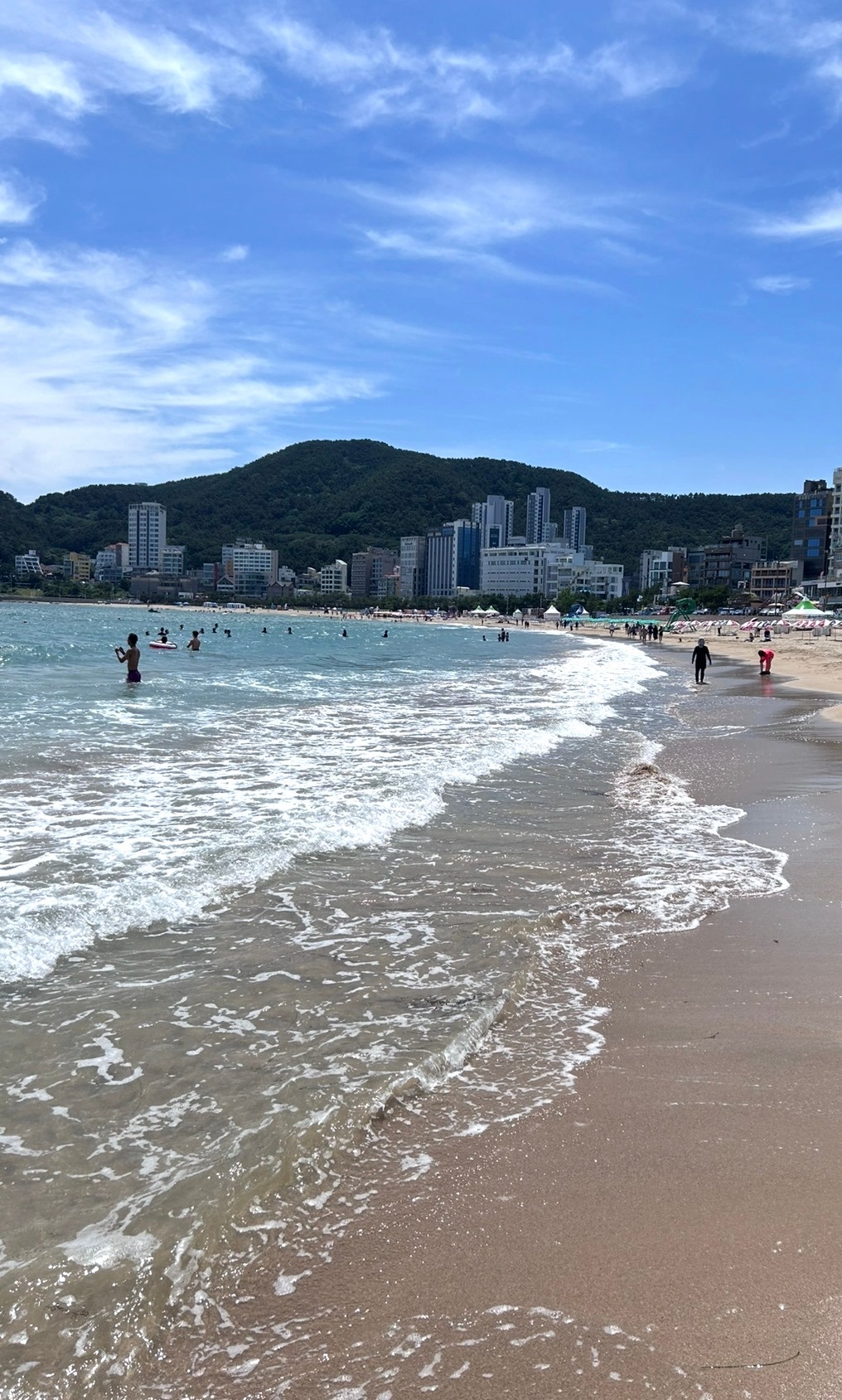 관련 스토어 - 부산 송정해수욕장 이미지