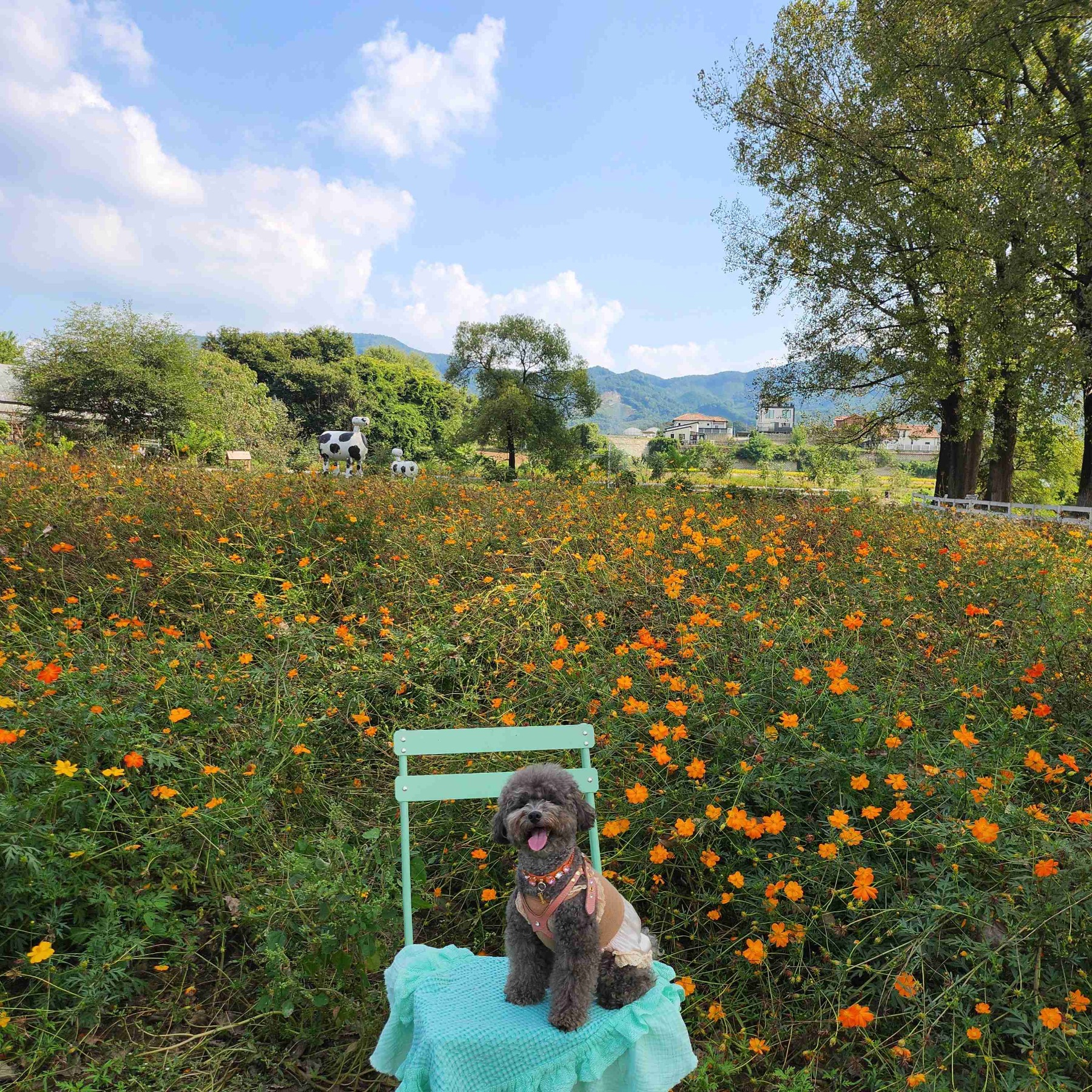 다래목장