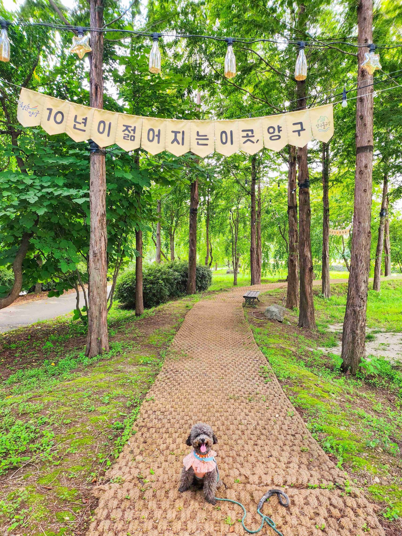한반도섬