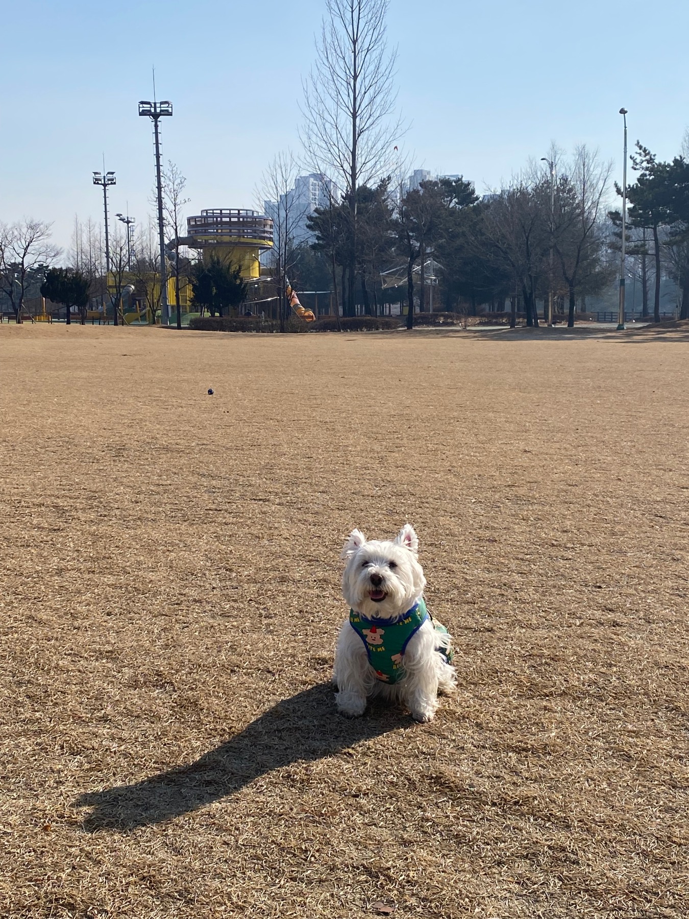문암생태공원 반려견 동반 여행지 사진