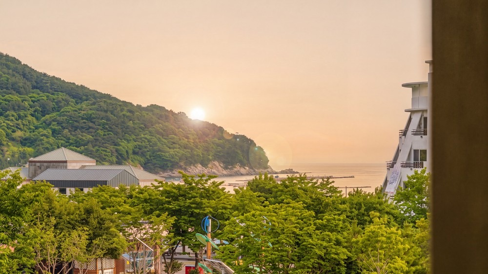거제 푸조와 곰솔 애견동반 펜션