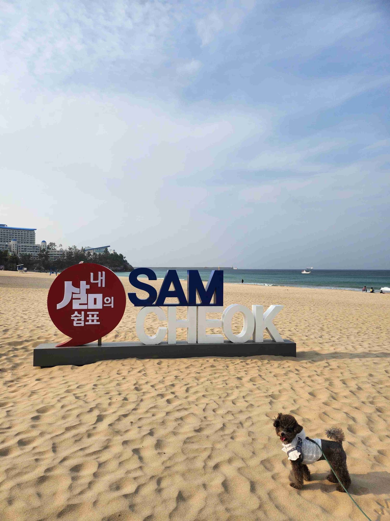 삼척해수욕장