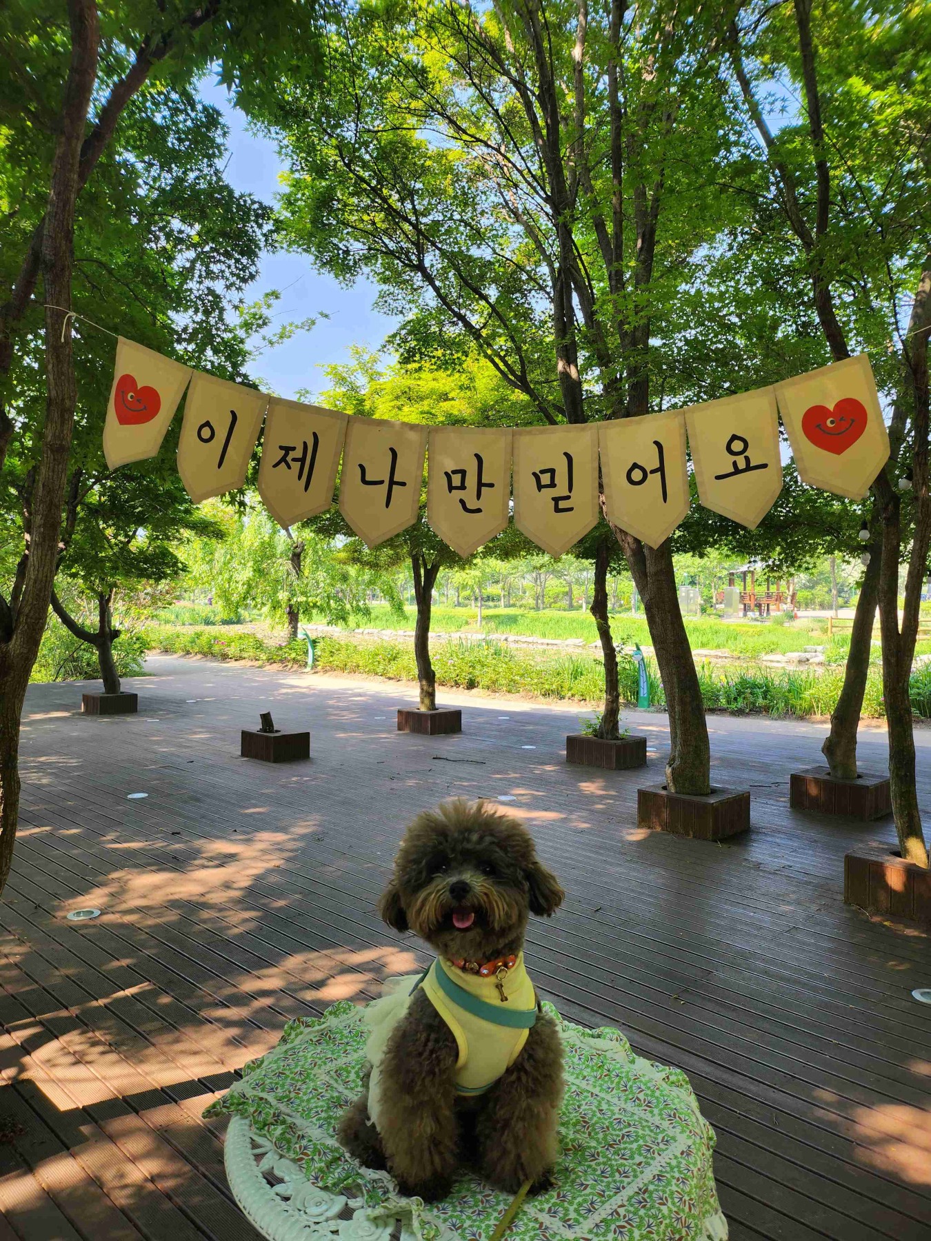 거창창포원