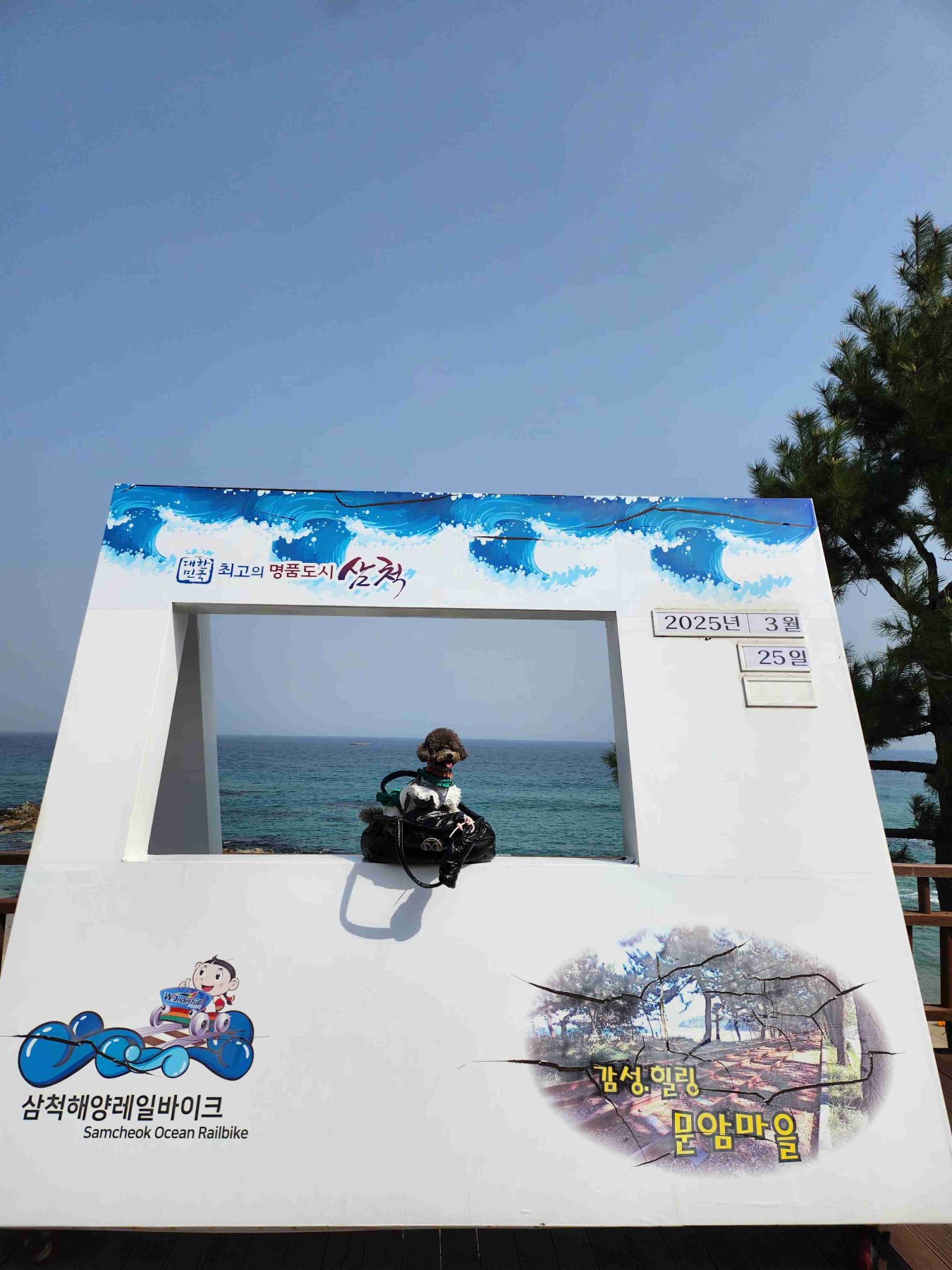 삼척해양레일바이크 궁촌정거장