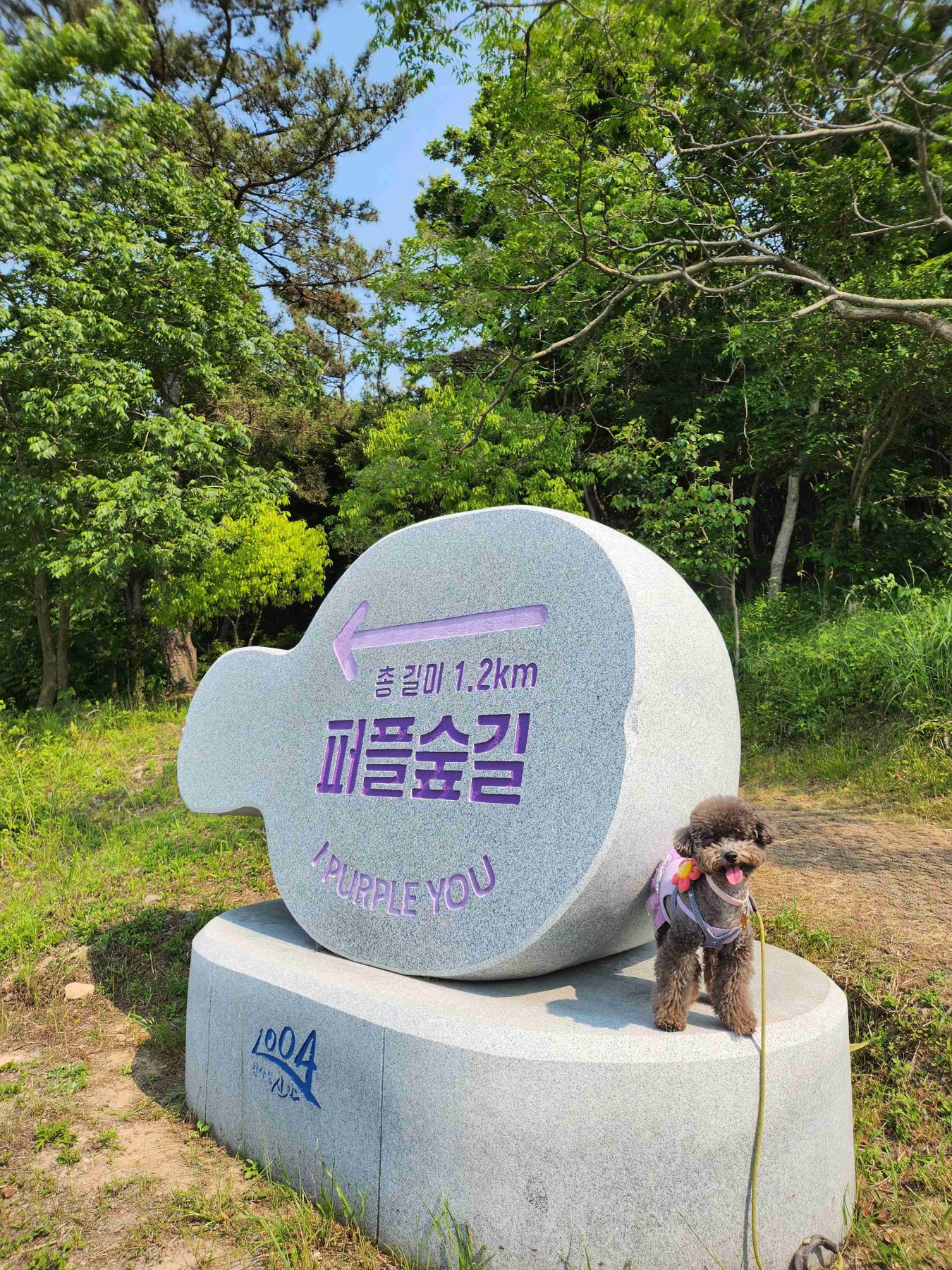 퍼플섬