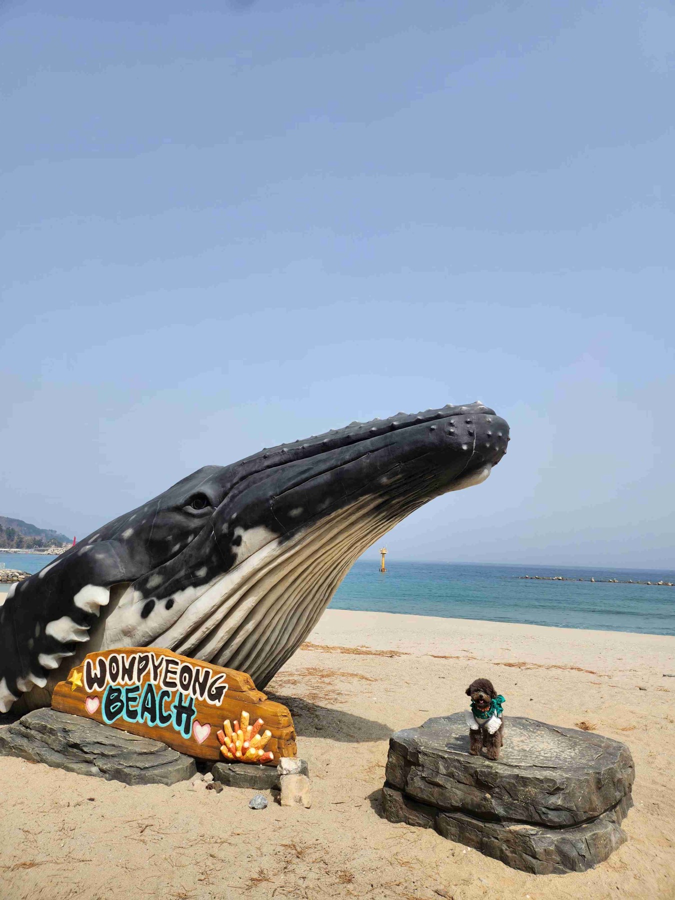 삼척해양레일바이크 궁촌정거장