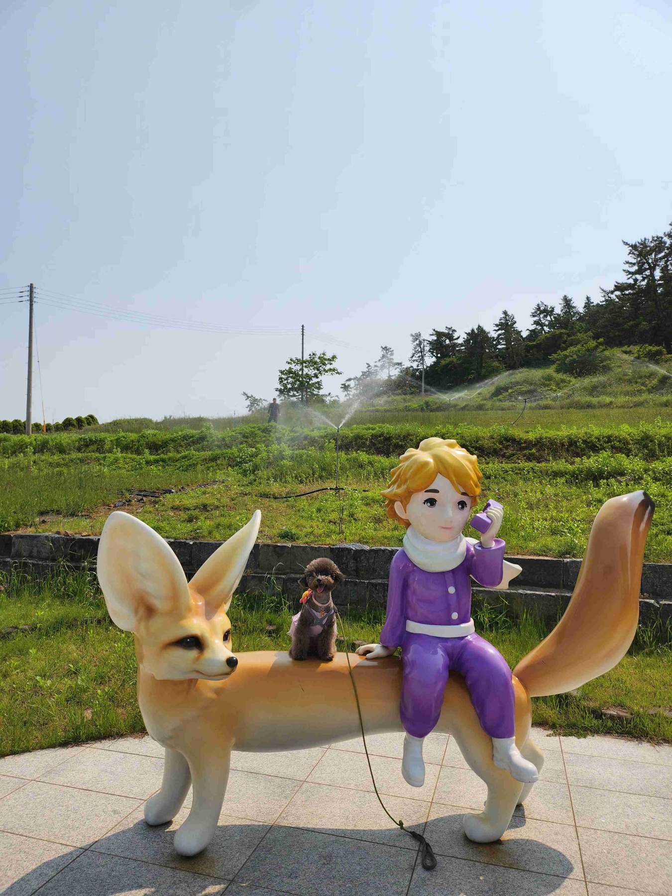 퍼플섬