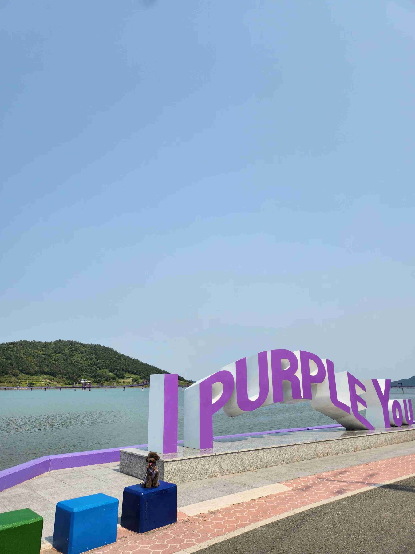 퍼플섬