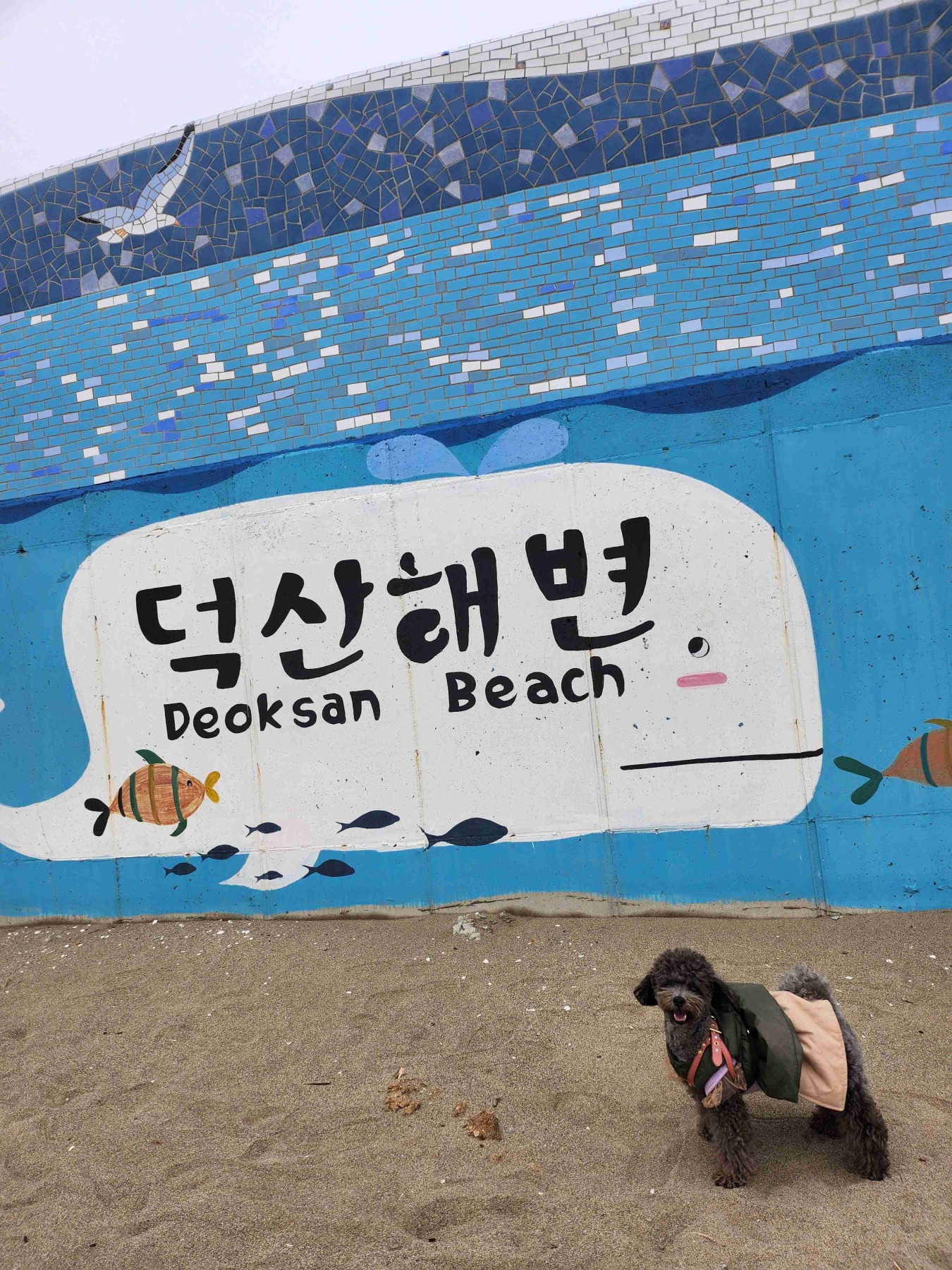 덕산해수욕장