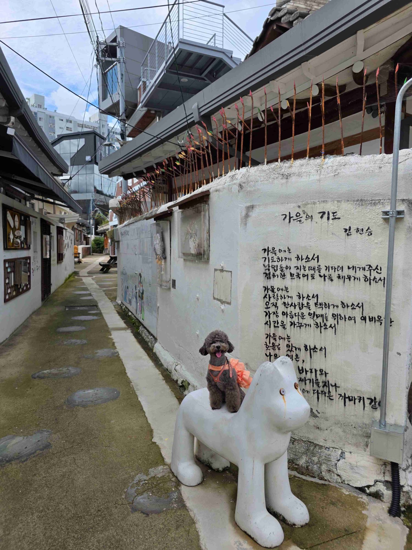 펭귄마을