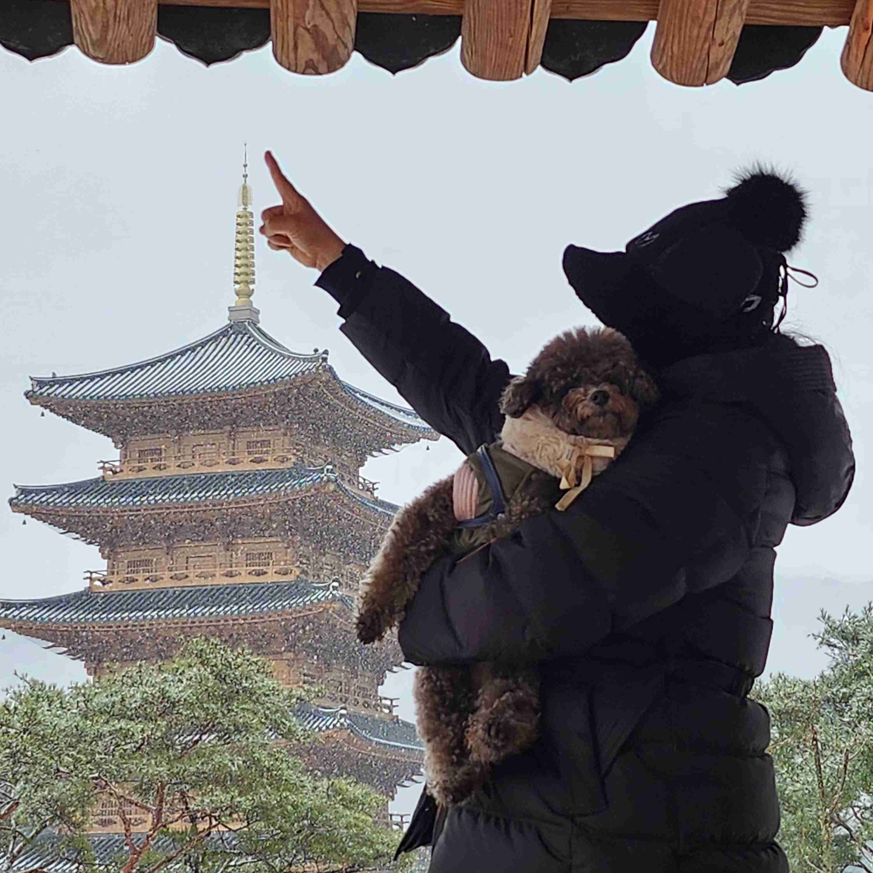 직지문화공원