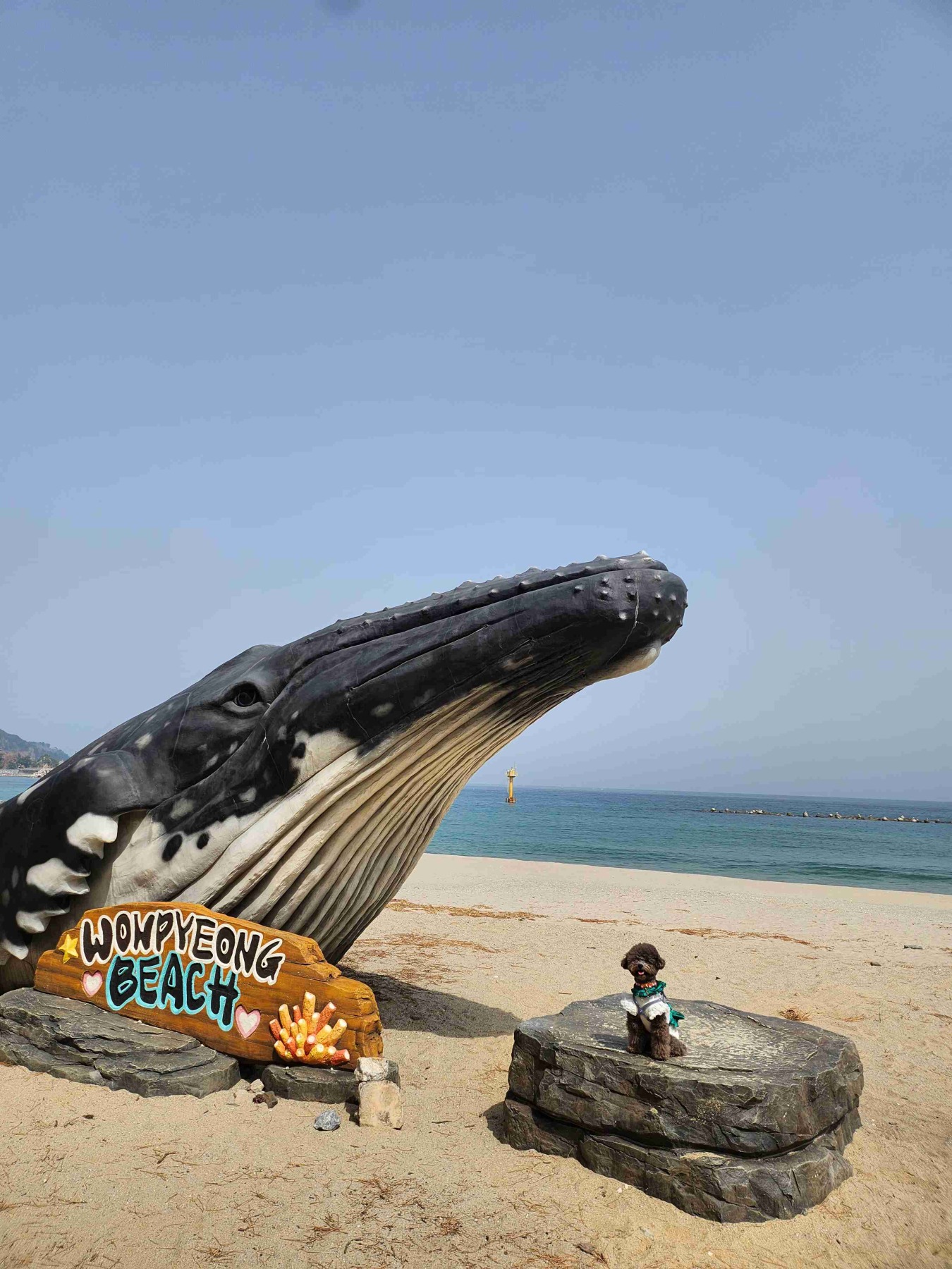 삼척해양레일바이크 궁촌정거장