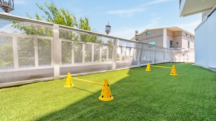 거제도 블루베리애견동반펜션