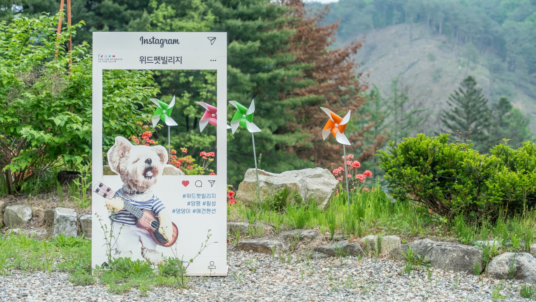 횡성 위드펫빌리지펜션